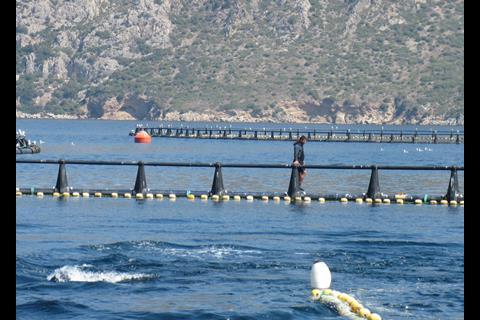 Akua-Group’s bluefin tuna cages measure 50m in diameter